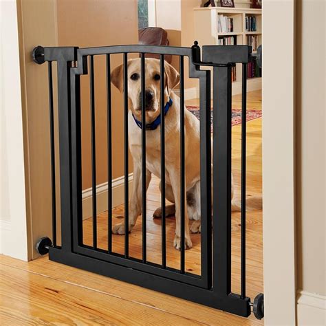 Guide to the Best Dog Gates for 2024 – Woof Whiskers