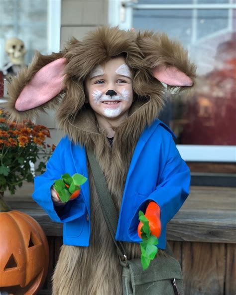 Peter Rabbit costume I made for my grandson! | Peter rabbit costume, Rabbit costume, Peter rabbit