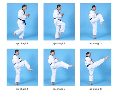 Best Of blue belt kicks taekwondo Taekwondo combinations curriculum kicking