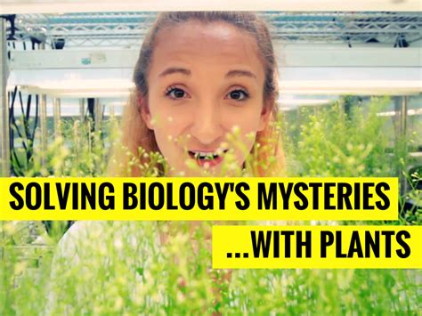 Solving Biology's Mysteries With Plants | MIT's Science Out Loud | PBS LearningMedia