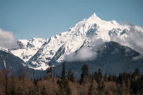 From Mountains to Coast: A Spring Road Trip Through Skagit Valley ...