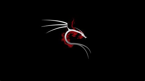 2560x1440 Kali Linux 4k 1440P Resolution ,HD 4k Wallpapers,Images ...