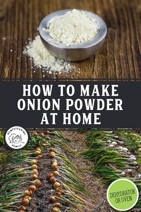 How to Make Onion Powder From Scratch (Easy DIY Recipe) — Homesteading Family