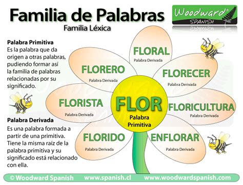 Familia de Palabras en español con ejemplos