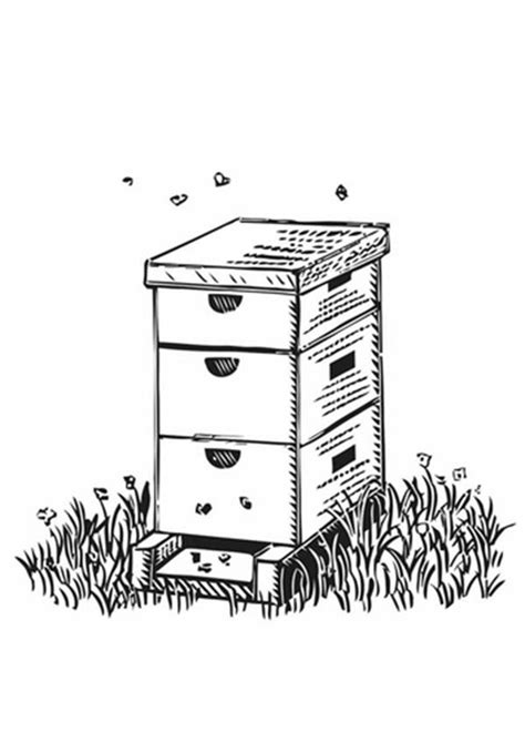 Box Shaped Beehive Coloring Page - NetArt