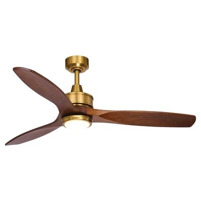 Polished Brass Ceiling Fan With Remote | Shelly Lighting