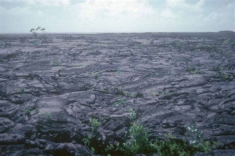 Lava field, Sale'aula | Northern Savai'i | Samoa | OzOutback