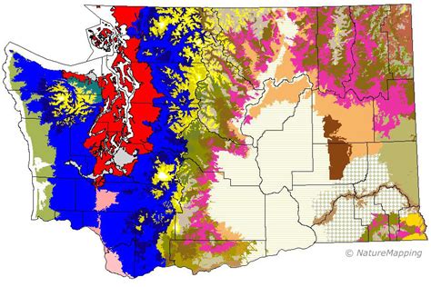 Washington State Forest Map