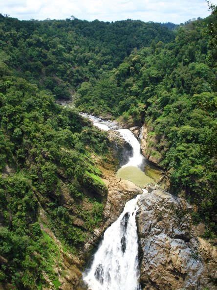 The Voice of Greenery - Trekking and Travelling in Western Ghats: Magod ...