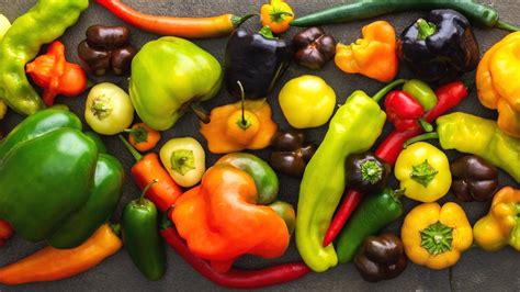 46 Types of Sweet Peppers to Grow This Season