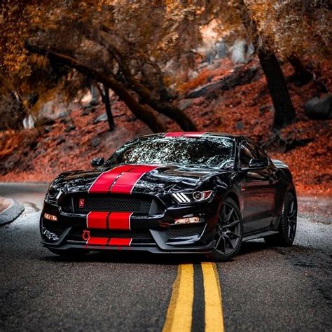 Pin by Jacques Frechette on Mustang | Mustang shelby, Mustang cars, Ford mustang gt