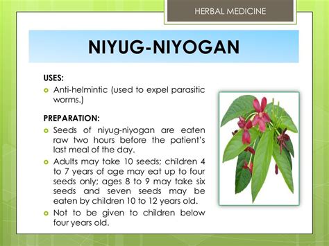 Niyog Niyogan Plant Image - Gardening Mania