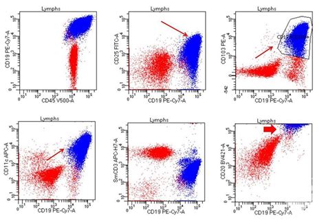 Flow cytometry plots