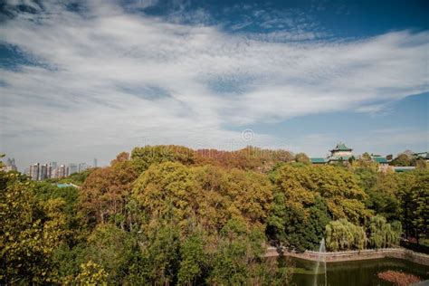 Beautiful Campus of Wuhan University in China Stock Photo - Image of beautiful, landscape: 164513000