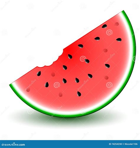 Cartoon Watermelon Slice stock vector. Illustration of logo - 74254230