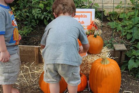 Make a Kids Pumpkin Patch in Your Backyard | Sunny Day Family