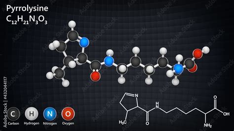 Pyrrolysine (symbol Pyl or O) is an organic compound with chemical ...