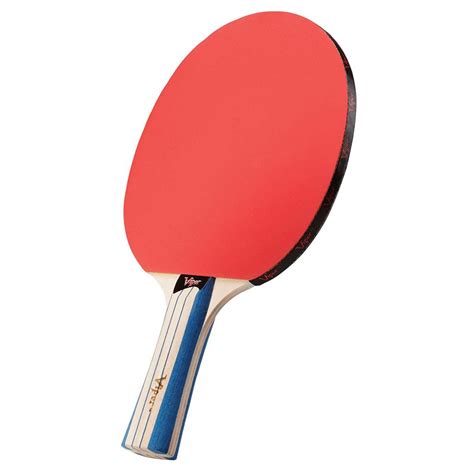 250 Table Tennis by Cornilleau | Indoor Ping Pong Game