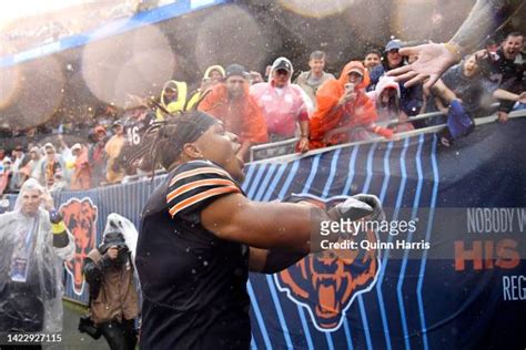 3,950 Chicago Bears Fans Stock Photos, High-Res Pictures, and Images - Getty Images