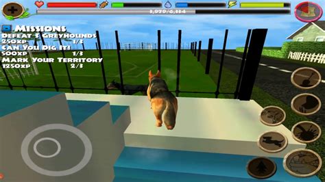 Stray dog simulator games free - starteat