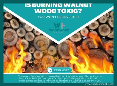 Is Burning Walnut Wood Toxic? You Won't Believe This!