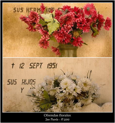 Imagenes y palabras by Jan Puerta: Ofrendas florales