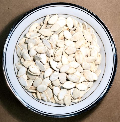 Squash Seeds - Mezos Roastery