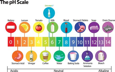 Understanding the PH Scale | Disinfexol - Disinfexol LLC