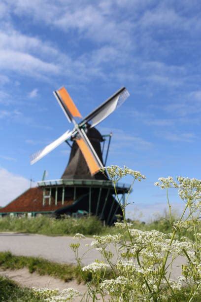 Zaandam Windmills Stock Photos, Pictures & Royalty-Free Images - iStock