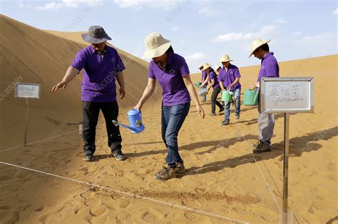 Desertification prevention research - Stock Image - C028/8244 - Science ...