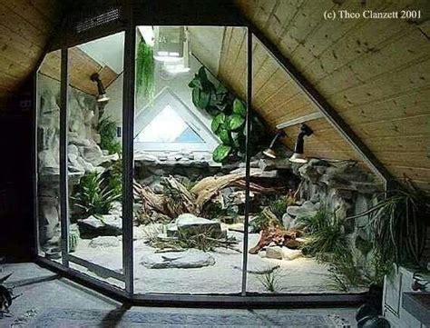 Amazing terrarium... | Animal room, Terrarium, Reptile habitat