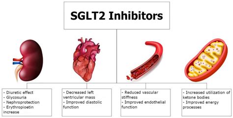 JCDD | Free Full-Text | Sodium-Glucose Cotransporter-2 Inhibitors-from the Treatment of Diabetes ...