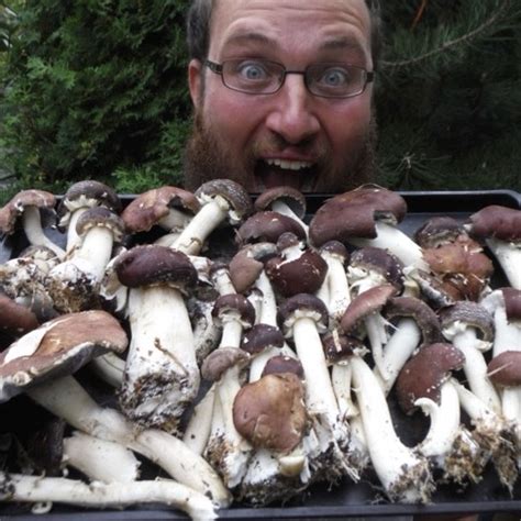 Foraging and Farming Edible Fungi - Tilth Alliance