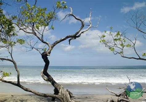 Playa Avellanas - The Little Hawaii of Guanacaste Costa Rica