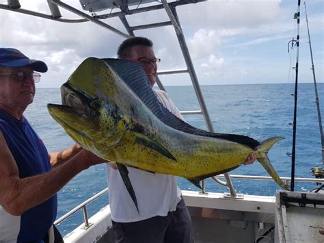 Trolling Tips and Techniques - Gold Coast Fishing Charters