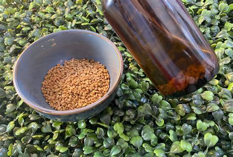 Fenugreek Hair Oil - Etsy