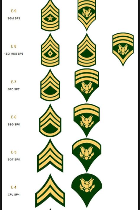 Specialist Rank, why do we still have it instead of a corporal? | RallyPoint