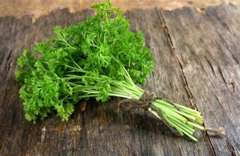 9 Excellent Substitutes For Parsley & When To Use Them