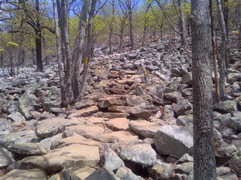 HikeyHikey!: Hiking Little Rock Arkansas - Pinnacle Mountain State Park