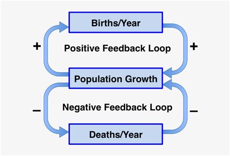 Feedback Loops Diagram - Positive Feedback Loop - Free Transparent PNG Download - PNGkey