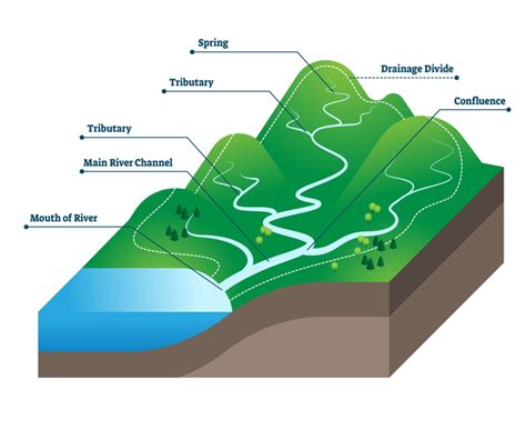 Watershed Diagram