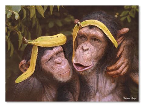 These silly chimps have found a hilarious new use for banana peels, and they can't wait to show ...