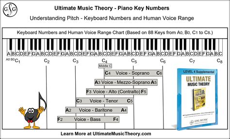 Piano Key Numbers - Ultimate Music Theory