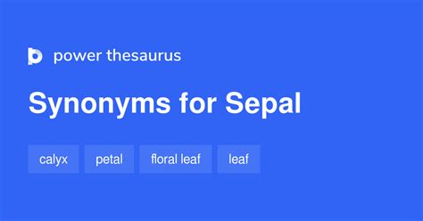 Sepal synonyms - 68 Words and Phrases for Sepal