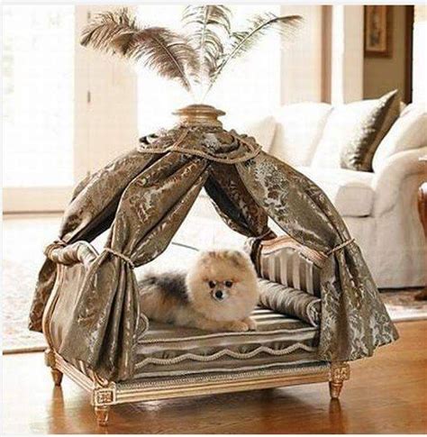 Modern Pet Bed Ideas