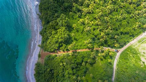 The Five Caribbean Islands Nature & Wildlife Lovers Must Visit!