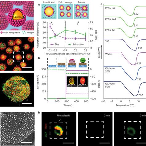 PPAS tailoring for adjuvant application a, Schematic representation of ...