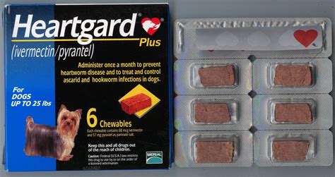 Heartgard Plus Chewables For Dogs 1-25 Lbs Blue Pharmacy Dewormers Parasite Care PetSmart ...