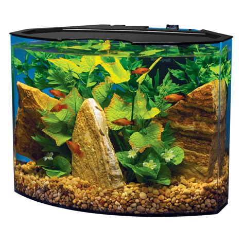 Tetra Crescent Aquarium Kit 5 Gallons