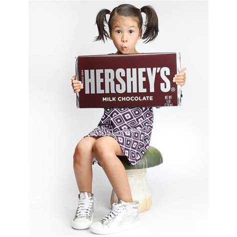 Hershey's Giant 5LB Chocolate Bar | bestcandyshop